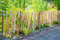 Sevico Staketenzaun imprägniert Haselnuss Holzzaun Haselnussholz Zaunlatte Rollzaun Kastanienzaun Gartenzaun 60 cm x 5m+ Pflock, Lattenabstand: 7-8 cm