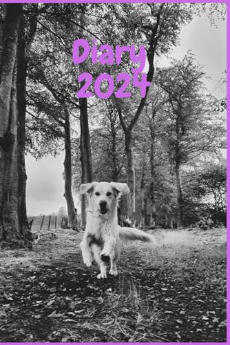 2024 Diary: 2024 Diary with notes pages, contact sheets and things to do pages