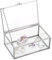 Tolida Vintage Glass Lidded Rectangle Jewelry Box, Tabletop Display Box for Jewelry Accessories, Silver