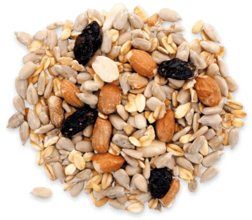 Agrarshop Schalenlos Premium 25 kg Vogelfutter Ganzjahresfutter Gartenvögel