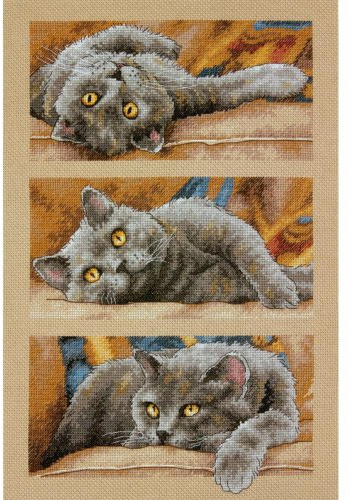 Dimensions MAX THE CAT, Cotton, 10 Inches x 15 Inches