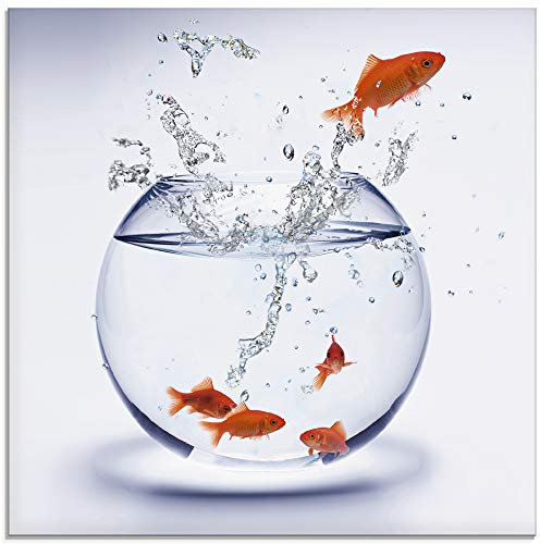 ARTland Wanddeko Glasbilder Wandbild Glas Bild einteilig 40x40 cm Quadratisch Tiere Fische Goldfisch Aquarium Wasser T5XF