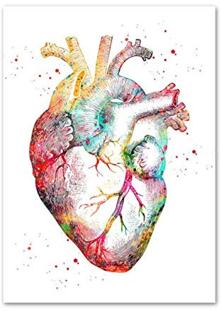 DIY 5D Diamant Gemälde Kit Anatomie Vollbohrer Kristall Crystal Strass Stickerei Kreuzstich Arts Craft Decor Diamond Painting für Home Wand Decor 30 * 40 cm