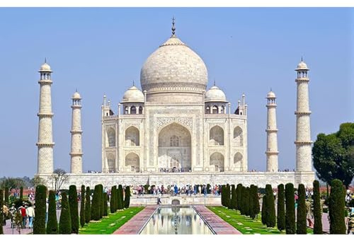 1000(38x26cm)-piece adult jigsaw puzzle, Taj Mahal in Agra, India souvenir puzzle, youth game intellectual toy gift