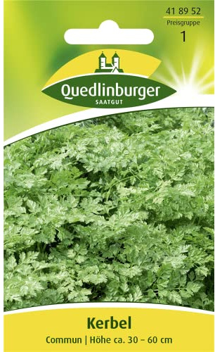 Quedlinburger Kerbel, 1 Tüte Samen