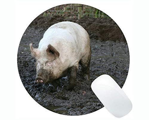 Schneiden Sie Schwein Mousepad, Hausschwein-runde Mausunterlage mit genähten Rändern