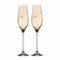DIAMANTE Amber Lustre Silhouette Champagne Flutes Embellished with Beautiful Crystals Set of 2 in Elixir Gift Box