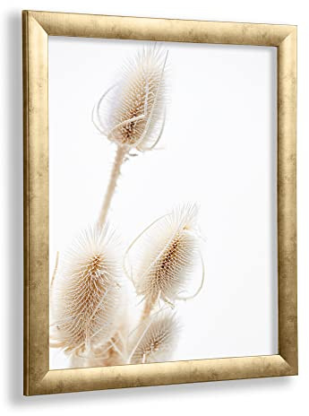 VO Design Bilderrahmen Arne 50 x 75 cm Gold Antik Optik mit entspiegeltem 1 mm Kunstglas - Farbe und Größe frei wählbar | Bruchsicheres 1mm Acrylglas Antireflex und 2,5mm weiße MDF-Rückwand