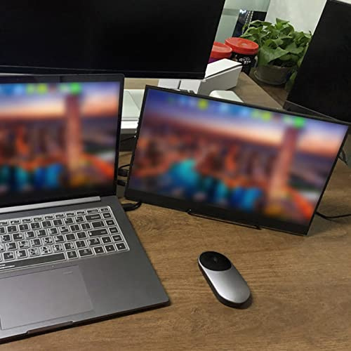 Portable Computer Display, 17.3in 1080P Full HD Display, IPS Split Screen Same Screen High Definition Display,Wall Mountable Monitor Support for HDMI/PS3/