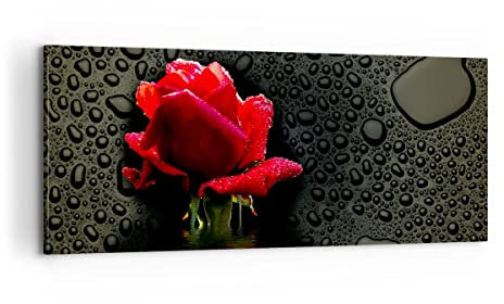 Moderne Impression sur Toile 100x40cm Image Tableau Decoration Murale Fleur rose rouge eau rosée Tableaux Decoratifs Muraux Chambre Panoramique Deco Cadre Décoration Salon Art Wall AB100x40-2367