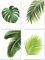 PICSonPAPER Poster 4er-Set BLÄTTER, ungerahmt DIN A3, Dekoration für Wohn- und Arbeitsräume, Monstera, Palmen, Kunstdruck, Wandbild, Geschenk (Ohne Bilderrahmen Din A3)