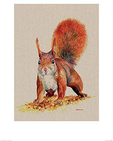 Jane Bannon Sammy 60 x 80cm Kunstdruck