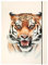 NEU Sammelmappe mit Gummiband, A3, 1 Mappe, BASIC ROARING TIGER/Tigerkopf