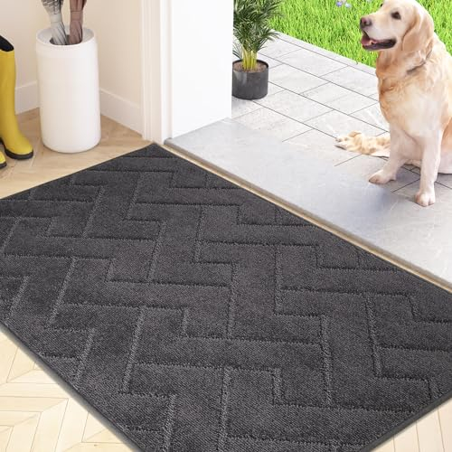FCSDETAIL Schmutzfangmatte Innen 60 x 90 cm, rutschfeste Fußmatte, waschbar Sauberlaufmatte, absorbierend Türmatte, Fussmatte Teppich für Hund, Eingang, Haustür & Flur