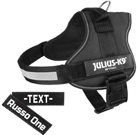 K9 Powergeschirr Original Julius-K9 Hundegeschirr für Diensthunde inkl. 2 Stück Klettsticker mit Wunschtext gratis (Schwarz, 1/L (Brust: 66-85 cm))