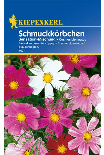 Schmuckkörbchen, 'Sensations-Mischung'