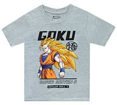 Dragon Ball Z T-Shirt Goku Short Sleeve Boys Tee Grey 12-13 Years
