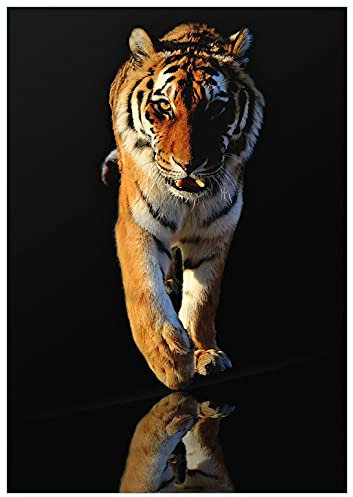 Wallario Glasbild Laufender Tiger - 70 x 100 cm Wandbilder Glas in Premium-Qualität: Brillante Farben, freischwebende Optik