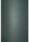 Netuno 100x Tonkarton Königs-Grün DIN A4 210× 297 mm 210g Sirio Color Royal Green Bastelkarton A4 Ton-Zeichen-Karton zum basteln Bedrucken Kreativkarton A4 farbig für Weihnachts-Karten Hochzeitskarten