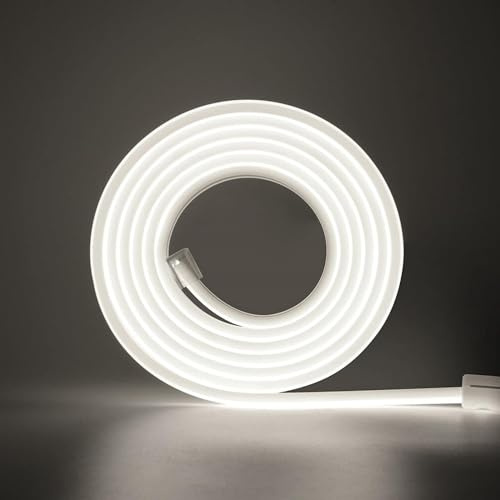 HEGEHE 220V Tira de LED COB 4M,288LEDs/m Flexible de Alta Densidad Blanco Frio FCOB Tira Luces,IP65 Super Brillante LED Tira de Luz con Enchufe Interruptor para Dormitorio,Iluminación de Armarios