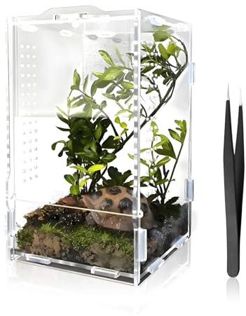 Faunarium Terrarium en acrylique pour terrarium à insectes, boîte d'élevage, boîte d'élevage, multi-usages avec pince à nourrir, pour reptiles, araignées, amphibiens, grenouilles, insectes, tarentules