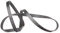 FEBI BILSTEIN 28881 Keilrippenriemen