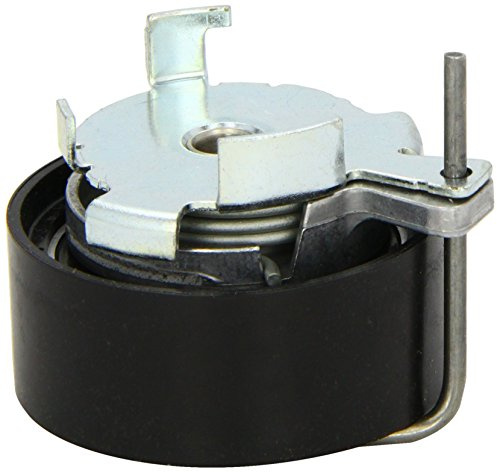 INA 531 0813 10 Zahnriemen | Kompatibel mit: FORD B-MAX, B-MAX Van, C-MAX, C-MAX II, COURIER Pick-up, ECOSPORT, FIESTA Stufenheck, FIESTA V, FIESTA VI
