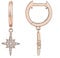PAVOI 14K Rose Gold Plated S925 Sterling Silver Post Drop/Dangle Huggie Earrings for Women | Dainty Star Earrings