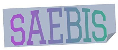 SAEBIS Autoaufkleber Lifestyle weiß oder schwarz - Sticker - Zubehör - Tuning - Autofolie - Klebefolie - Autosticker - Frontscheibe - Heckscheibe (Chameleon/Hologramm)