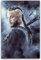 Puzzle für 1000 Teile Wikinger Ragnar Lothbrok 2 Holz Puzzlespiel Erwachsenen und Kinder puzzle Poster 1000 Piece 29.5x19.6inch(75x50cm) Kein Rahmen