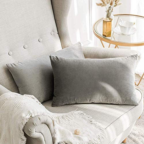 MIULEE 2er Set Samt Kissenbezug Kissenhülle Zierkissenbezug Dekorative Dekokissen Couchkissen Sofakissen Kopfkissenbezug Wurfkissenbezug Deko Bezug für Schlafzimmer Büro 40x60 cm Grau