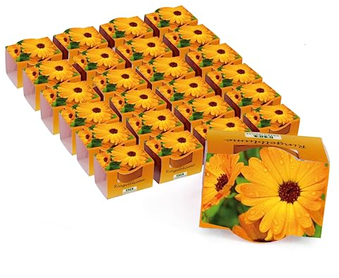 Bull & Bear 25er Set Mini Pflanzset mit Ringelblumen Samen im Topf 4,5cm, Ringelblumensamen als Anzuchtset mit Pflegeanleitung