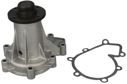 Hepu P161 Wasserpumpe