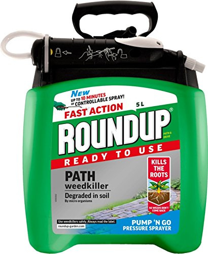 Path & Drive Pump N Go (5L)