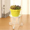 Cabilock Escritorio taburete olla de metal vitrina casa no arte sala estante plantas soporte de hierro inoxidable soporte soporte soporte pequeño accesorio jardinera mini contenedor blanco