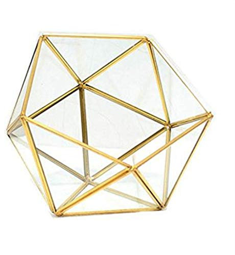 CQEAZ Gold Black Glass Geometric Terrarium Planter Pentagon Container Modern Decor Display Flower Pot for Plant