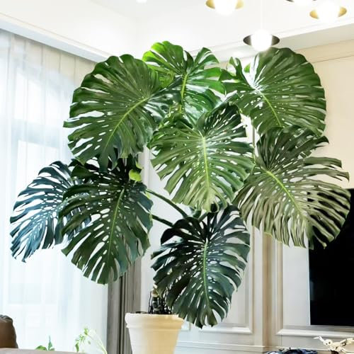 pianta di monstera - semi perenni semi piante decorative piante da interno pianta in vaso di bonsai monstera deliziosa fiori da giardino decorazione del balcone resistenti per il 90pcs