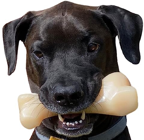 Nylabone Extreme Tough Dog Chew Toy Monster Beef Thigh, Cleans Teeth, Beef Flavour, XXL, for Dogs Over 23 kg,package may vary