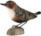 WILDLIFEGARDEN Wildlife Garden WG414 DecoBird Wasseramsel - Handgeschnitzter Dekorative Vogel aus Holz - Kleine Europäische Vögel