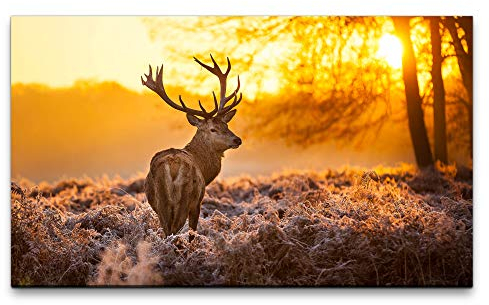 Bilder XXL Hirsch im Wald 120x70cm Wandbild auf Leinwand