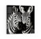 DEQORI Glasbild Echtglas | Motiv Zebra-Sinfonie | quadratisch einteilig 30x30 cm | schöne Dekoration | Wandbild für Wohnzimmer, Schlafzimmer, Flur & Küche | moderne Wanddeko