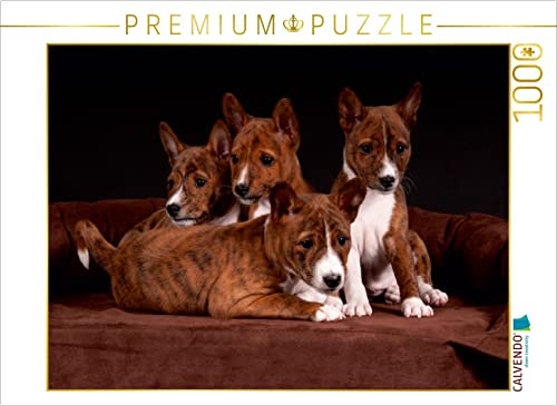 CALVENDO Puzzle EIN Motiv aus dem Kalender Süße Basenji-Kinder | 1000 Teile Lege-Größe 64 x 48 cm Foto-Puzzle für glückliche Stunden