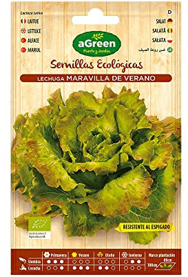 SOBRE SEMILLAS ECO LECHUGA MARAVILLA AGREEN