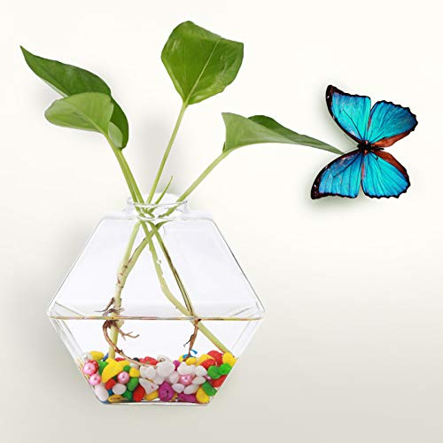 Kuuleyn Wandbehang aus Glas, Wandbehang, Terrarium, hängende Pflanzen, Blumen, Glasvase, Wand, Hydrokultur-Aquarium, Behälter, Heimdekoration(Hexagon)