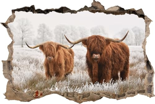 DesFoli Wandtattoo Highland-Rinder im Schnee - verschiedene Rahmentypen DW000060 Farbe Brauner Stein Querformat, Größe 105 cm x 70 cm