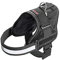 Karlie Xtreme No Limit Geschirr B: 25 mm Br um: 44 - 50 cm XS schwarz