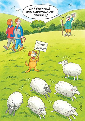Humorous Birthday Card (RB31530/01) - Sheep - Mint Sauce! - Dog Worrying Sheep