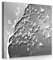 Forwall - Leinwand Bilder - Silber Baum Vögel - 80x80 cm Leinwandbilder - Bild auf leinwand - Wandbild XXL groß Wandbilder für Wohnzimmer Schlafzimmer Wohnzimmerbilder Modern kunstdruck