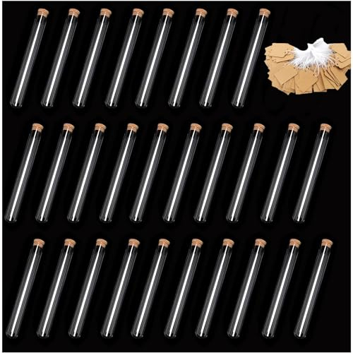 Reagenzglas mit Korken,Dancepandas 50 Stück 16 * 100mm Reagenzgläser Kunststoff Transparent Reagenzgläser für Blumen,mit 50 Stück Kraftpapieranhänger