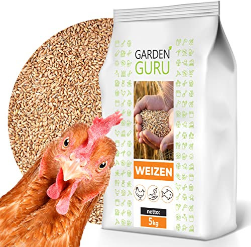GardenGuru Weizen Vogelfutter Futter 5kg Hühnerfutter Nagerfutter, Weizenkörner Getreide Korn Essen Wildvögel Kaninchenfutter